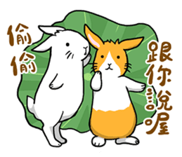 Hoya Bunny sticker #7394701