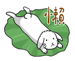 Hoya Bunny sticker #7394702