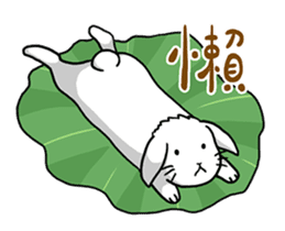 Hoya Bunny sticker #7394702