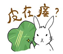 Hoya Bunny sticker #7394703