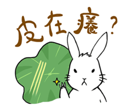 Hoya Bunny sticker #7394703