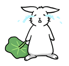 Hoya Bunny sticker #7394704