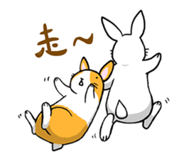 Hoya Bunny sticker #7394706