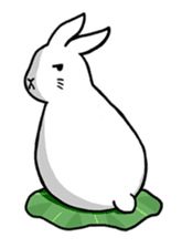 Hoya Bunny sticker #7394707
