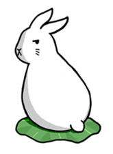 Hoya Bunny sticker #7394707