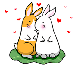 Hoya Bunny sticker #7394708