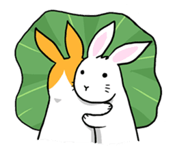 Hoya Bunny sticker #7394713
