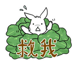Hoya Bunny sticker #7394717