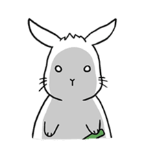 Hoya Bunny sticker #7394718