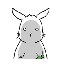 Hoya Bunny sticker #7394718