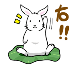 Hoya Bunny sticker #7394719