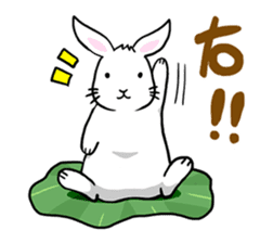 Hoya Bunny sticker #7394719