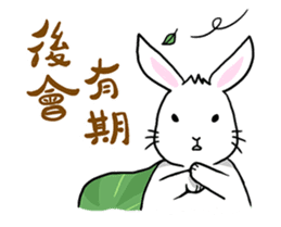 Hoya Bunny sticker #7394720