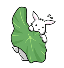 Hoya Bunny sticker #7394721