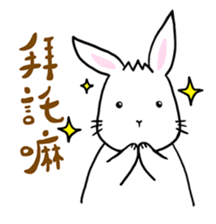 Hoya Bunny sticker #7394723
