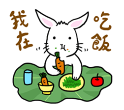 Hoya Bunny sticker #7394727