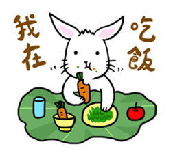 Hoya Bunny sticker #7394727