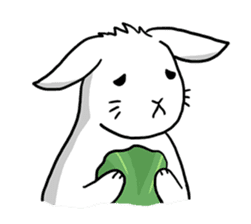 Hoya Bunny sticker #7394728