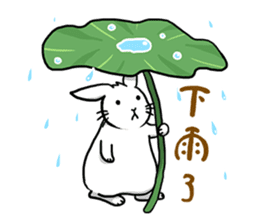 Hoya Bunny sticker #7394730