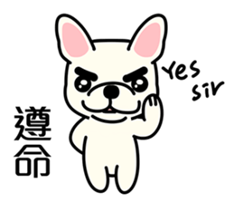 Cute French Bulldog 1 sticker #7399301