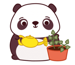 Malwynn the Panda Bear Cute Summer Fun sticker #7399658