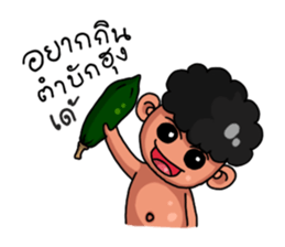 E-San Country sticker #7413491