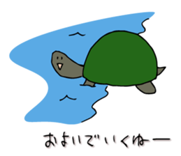 Tortoise Mr. sticker #7413903