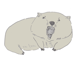 wooooooooombat sticker #7415360