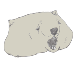 wooooooooombat sticker #7415363