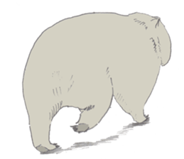 wooooooooombat sticker #7415366