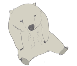 wooooooooombat sticker #7415369