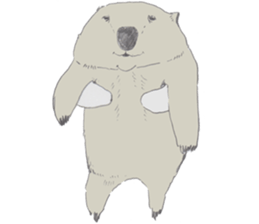 wooooooooombat sticker #7415370