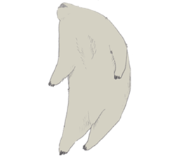 wooooooooombat sticker #7415376