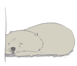 wooooooooombat sticker #7415380