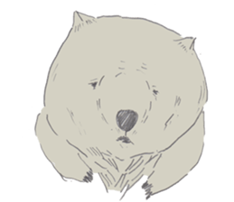 wooooooooombat sticker #7415381