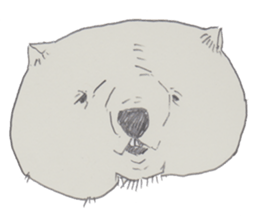 wooooooooombat sticker #7415382