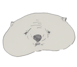 wooooooooombat sticker #7415384