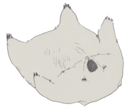 wooooooooombat sticker #7415385