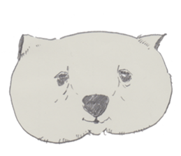 wooooooooombat sticker #7415390