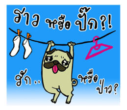 Phuan in Love sticker #7422127