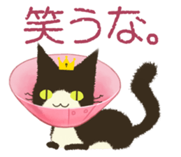 Kinked-tail cat sticker #7422711