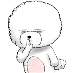 Bichon Frise "Noobie" Part II