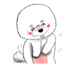 Bichon Frise "Noobie" Part II sticker #7424269