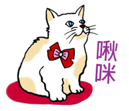 Funny Cat Stickers sticker #7424648