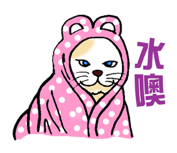 Funny Cat Stickers sticker #7424649