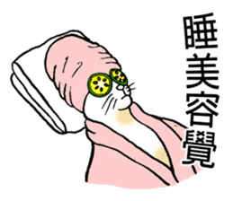 Funny Cat Stickers sticker #7424650