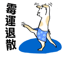 Funny Cat Stickers sticker #7424655