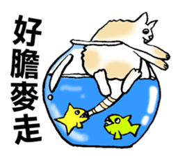 Funny Cat Stickers sticker #7424656