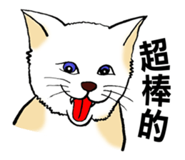 Funny Cat Stickers sticker #7424658