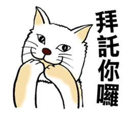Funny Cat Stickers sticker #7424662